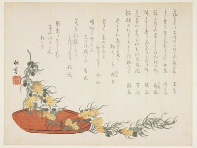 Weinrebe, ca. 1854-1859 von Shûtei Tanaka